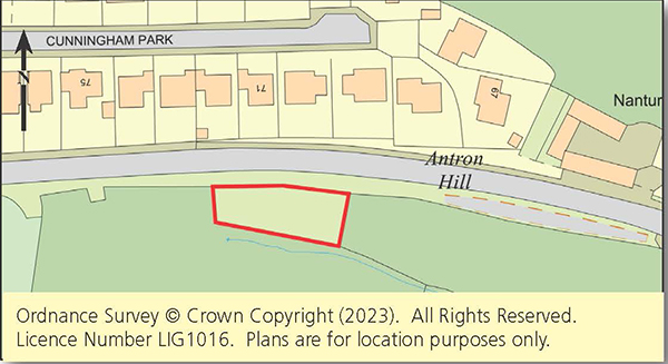 Lot: 125 - FREEHOLD LAND -